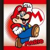 Decoratie Pyramid | Super Mario - Mario Yoshi Flip - 3D Lenticular Poster 26X20Cm