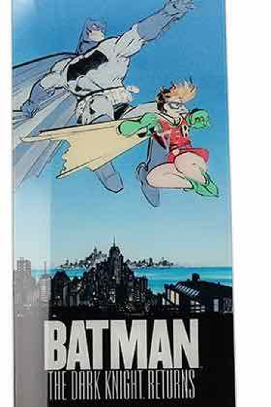 Decoratie SD Toys | Dc - Glass Poster - Batman And Robin - 61X31X3Cm