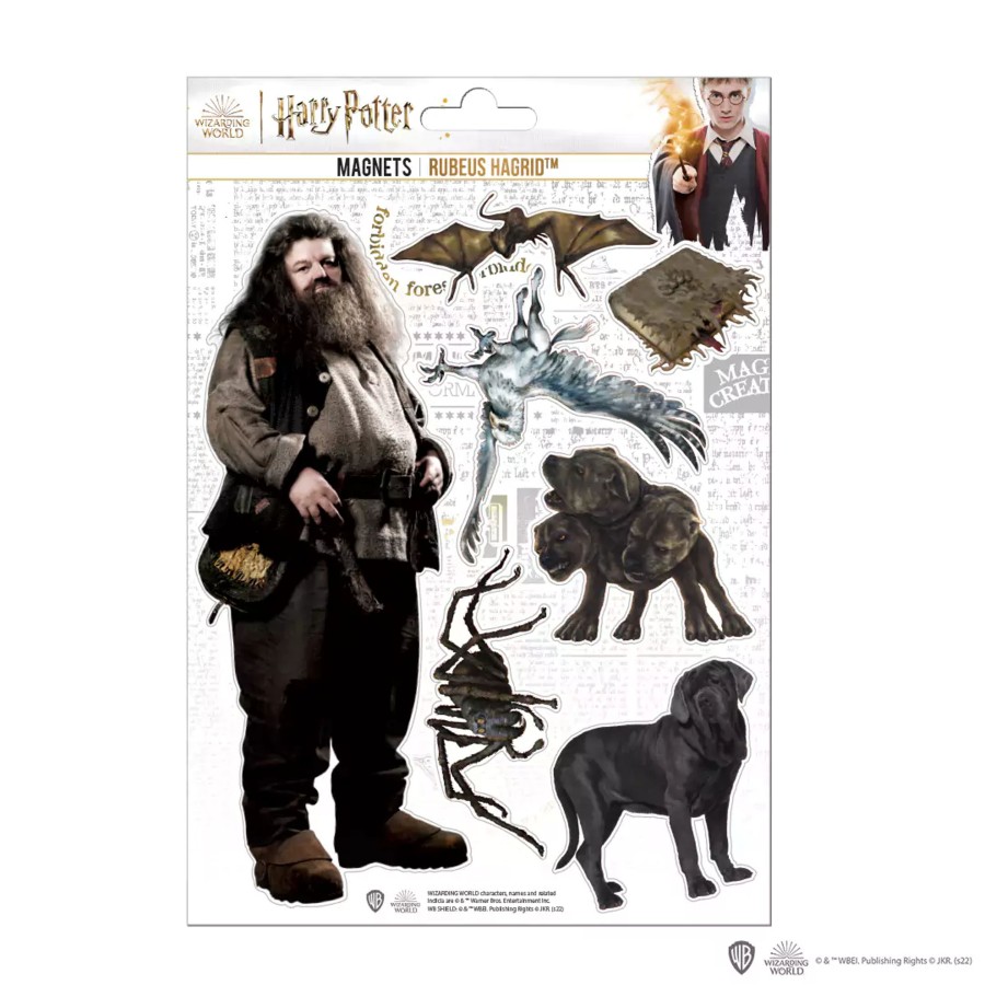 Keuken ShopForGeek | Harry Potter - Hagrid - Board Of 7 Foam Magnets