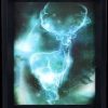 Decoratie Pyramid | Harry Potter - 3D Lenticular Poster 26X20 - Expecto Patronum