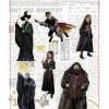 Keuken SD Toys | Harry Potter - Real Characters - Set B - Magnets Set