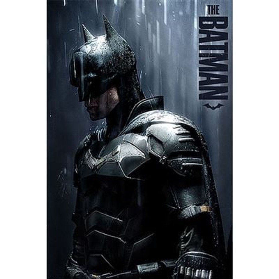 Decoratie Pyramid | The Batman - Downpour - Poster 61 X 91Cm