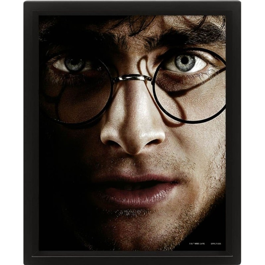 Decoratie Pyramid | Harry Potter - Harry Vs Voldemort - 3D Lenticular Poster 26X20Cm