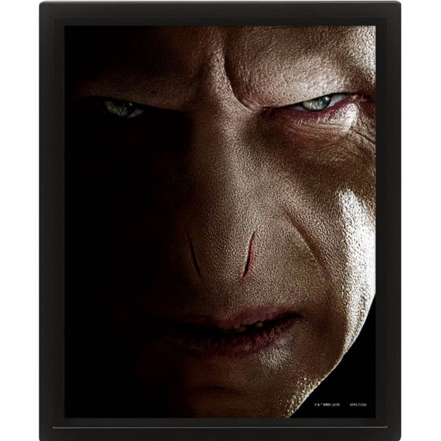 Decoratie Pyramid | Harry Potter - Harry Vs Voldemort - 3D Lenticular Poster 26X20Cm