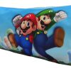 Kantoor ShopForGeek | Mario - Mario And Luigi - Pencil Case