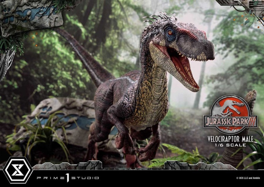 Figuren Prime 1 Studio | Jurassic Park 3 - Velociraptor Male - Statue Legacy Museum 40Cm