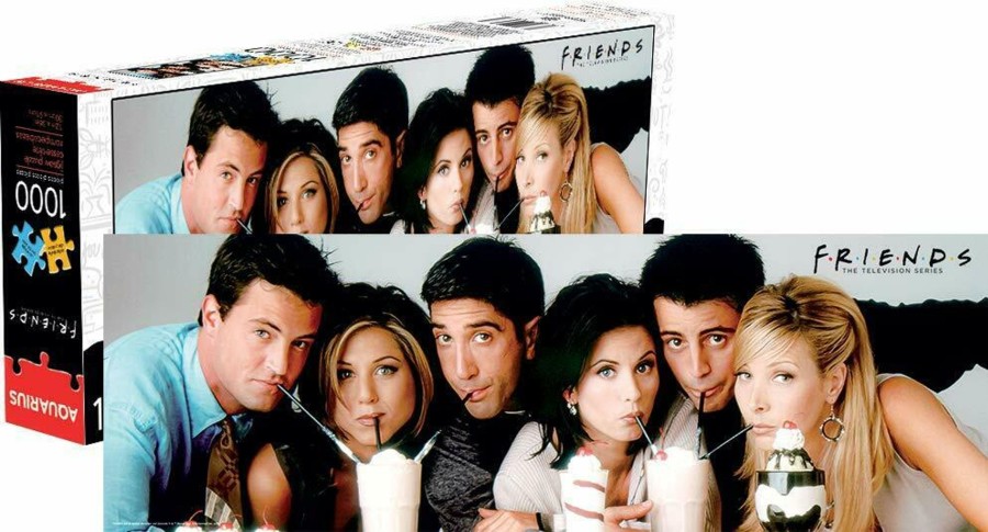 Spelletjes Aquarius | Friends - Slim Shake - Puzzle 1000P '30X91Cm'