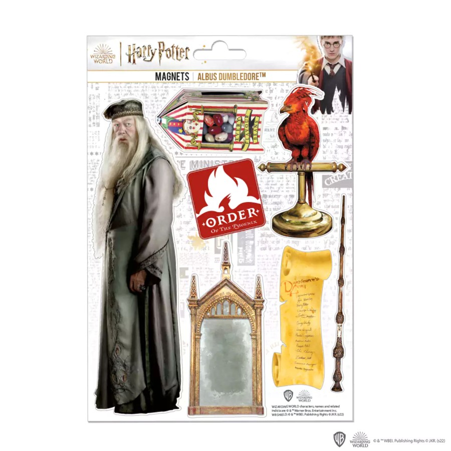 Keuken ShopForGeek | Harry Potter - Dumbledore - Board Of 7 Foam Magnets