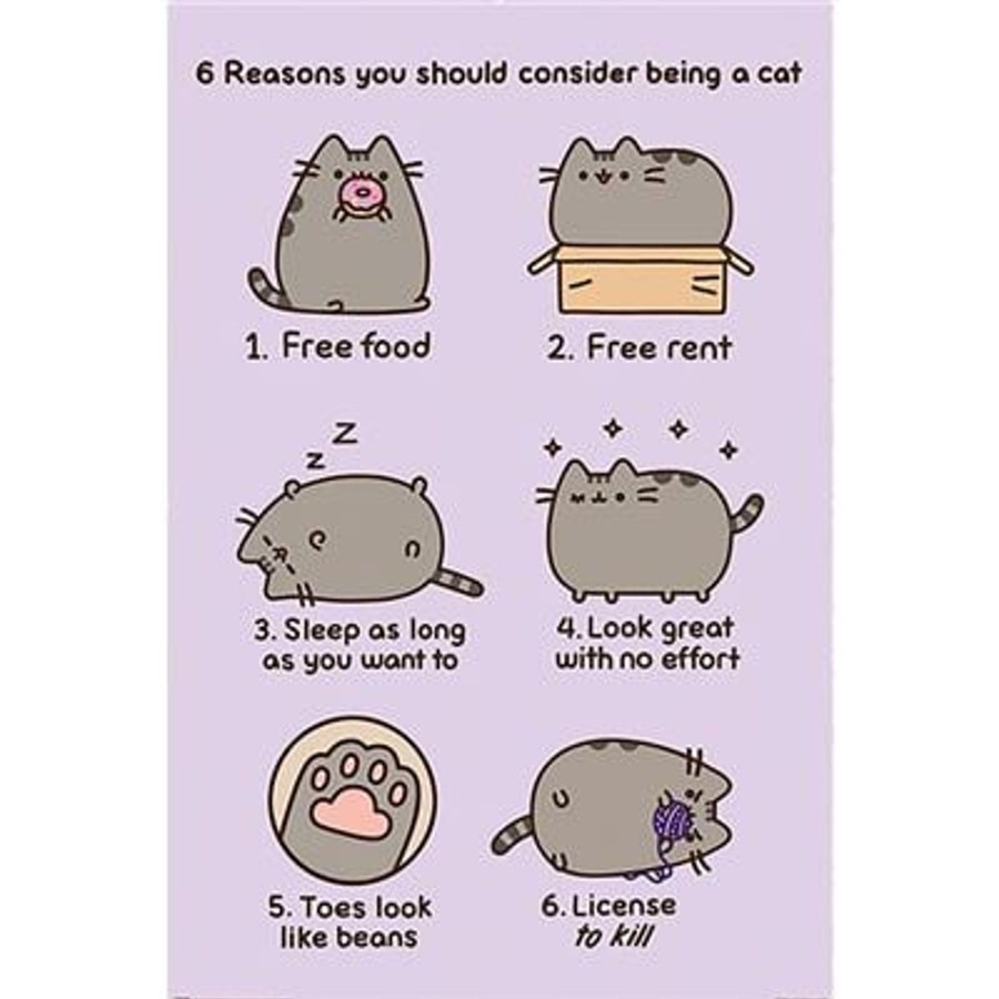 Decoratie Pyramid | Pusheen - Reasons To Be A Cat - Poster 61 X 91Cm