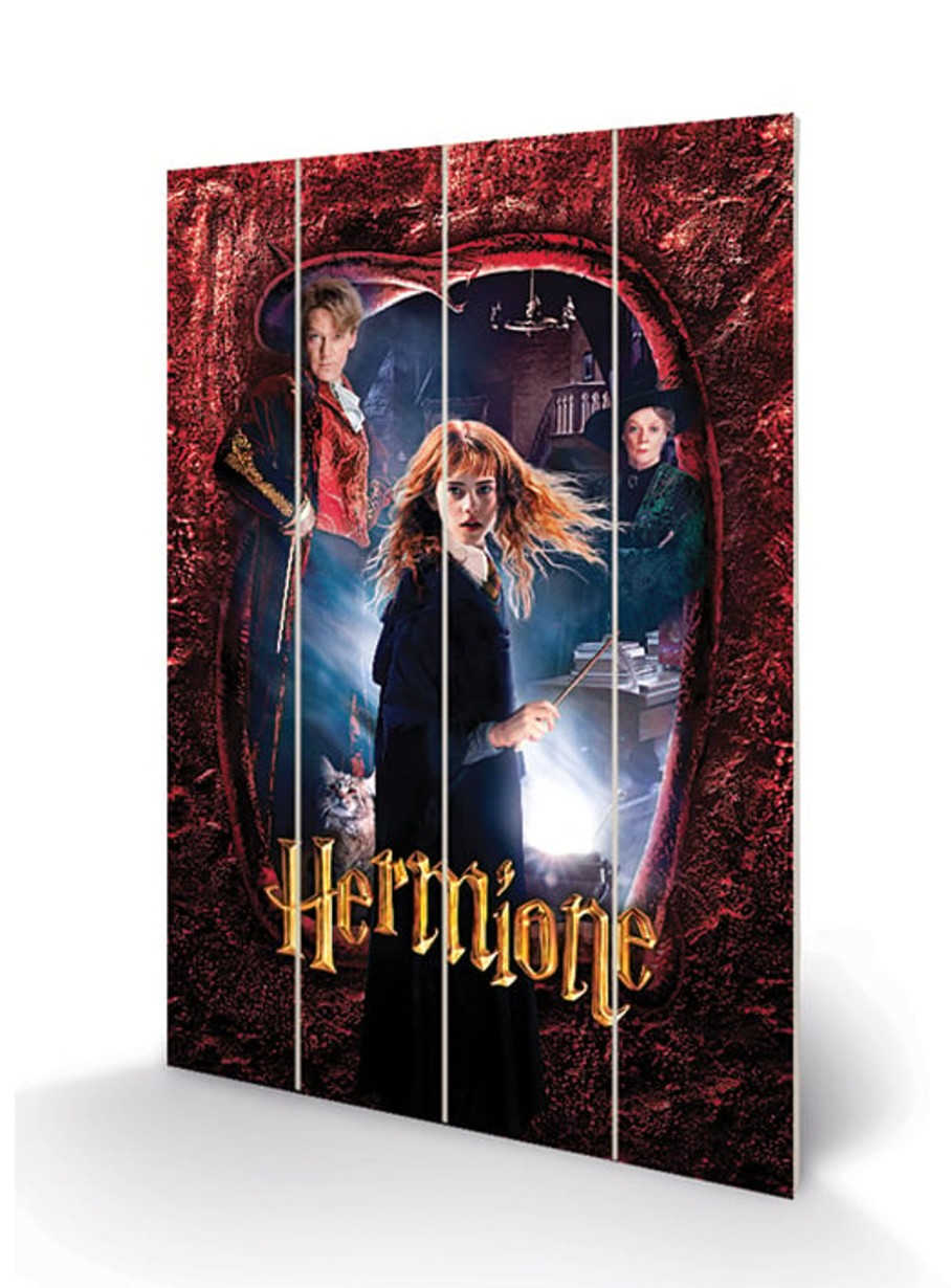 Decoratie Pyramid | Harry Potter - Wood Print 40X59Cm - Hermione