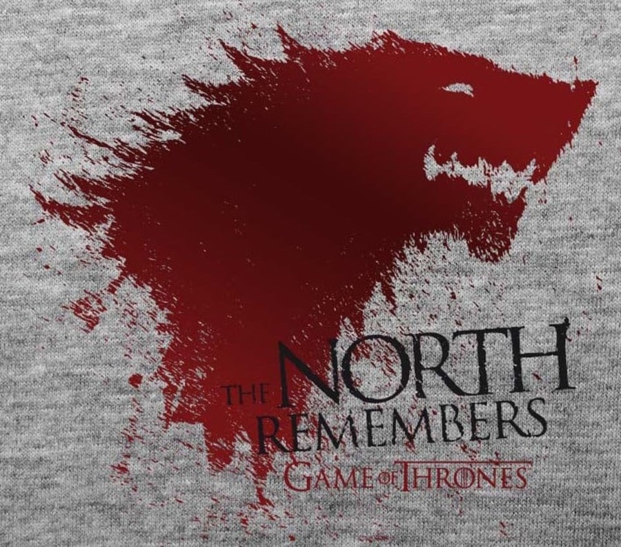 Kleding ABYstyle | Game Of Thrones - T-Shirt The North ... Man (S)